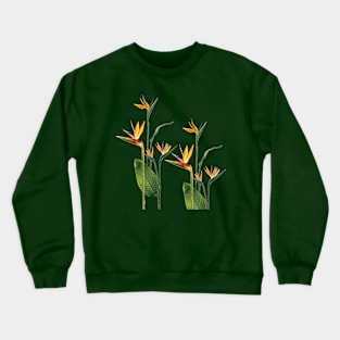 Birds of Paradise in Bloom Crewneck Sweatshirt